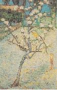 Vincent Van Gogh Flowering Pear-Tree china oil painting artist